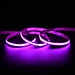 Tira LED RGB 5 Metros COB IP67 Wifi para Iluminacion en Habitacion Casa Exterior y Techo
